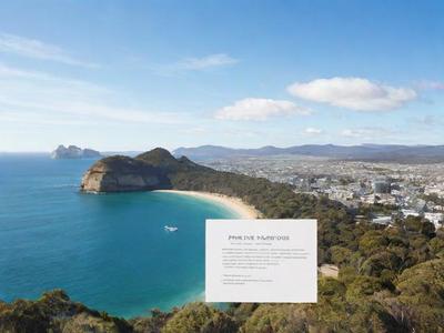 澳洲签证官问题(2021年澳洲签证审批进度)