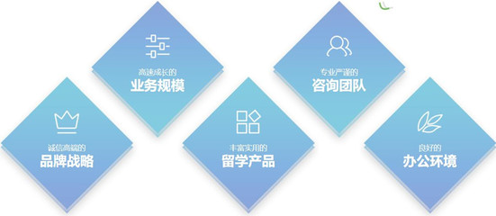 2024年权威盘点 出国留学申请机构与留学信息咨询平台前十强解析