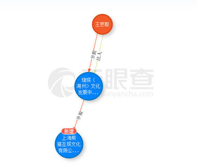 从留学咨询到投资神话 透视王思聪的资本叙事与潜在风险