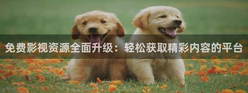 老湿电影在线观看