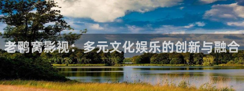 a老湿影院：老鸭窝影视：多元文化娱乐的创新与融合