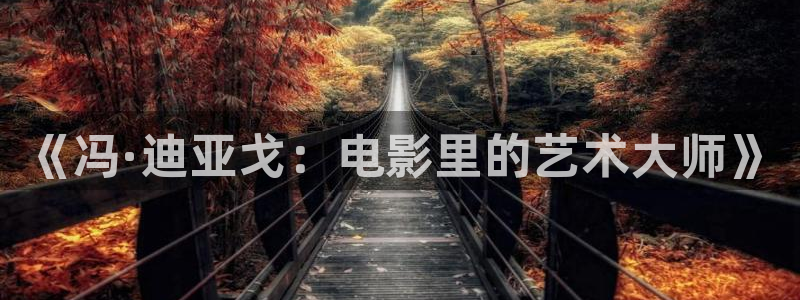 老湿影院黄：《冯·迪亚戈：电影里的艺术大师》