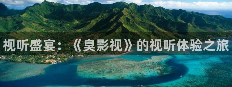 老湿影院试看区：视听盛宴：《臭影视》的视听体验之旅