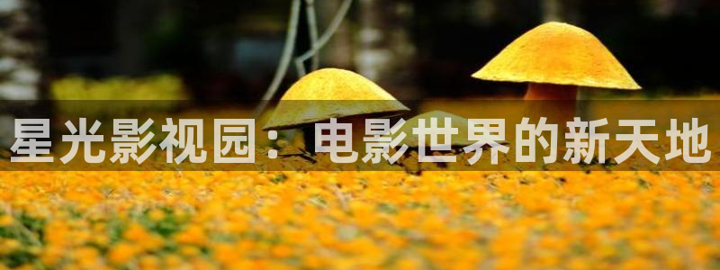 老湿新影院