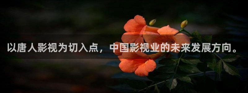 老湿电影免费观看