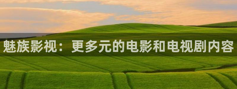 老湿影院a：魅族影视：更多元的电影和电视剧内容