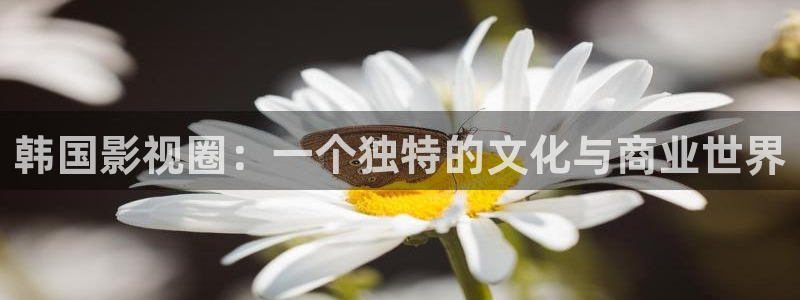 老湿影院在线免费观看